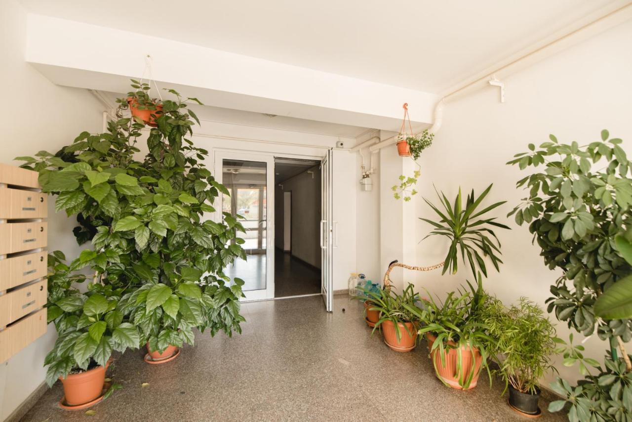 Oltului Apartment Brasov Exterior photo
